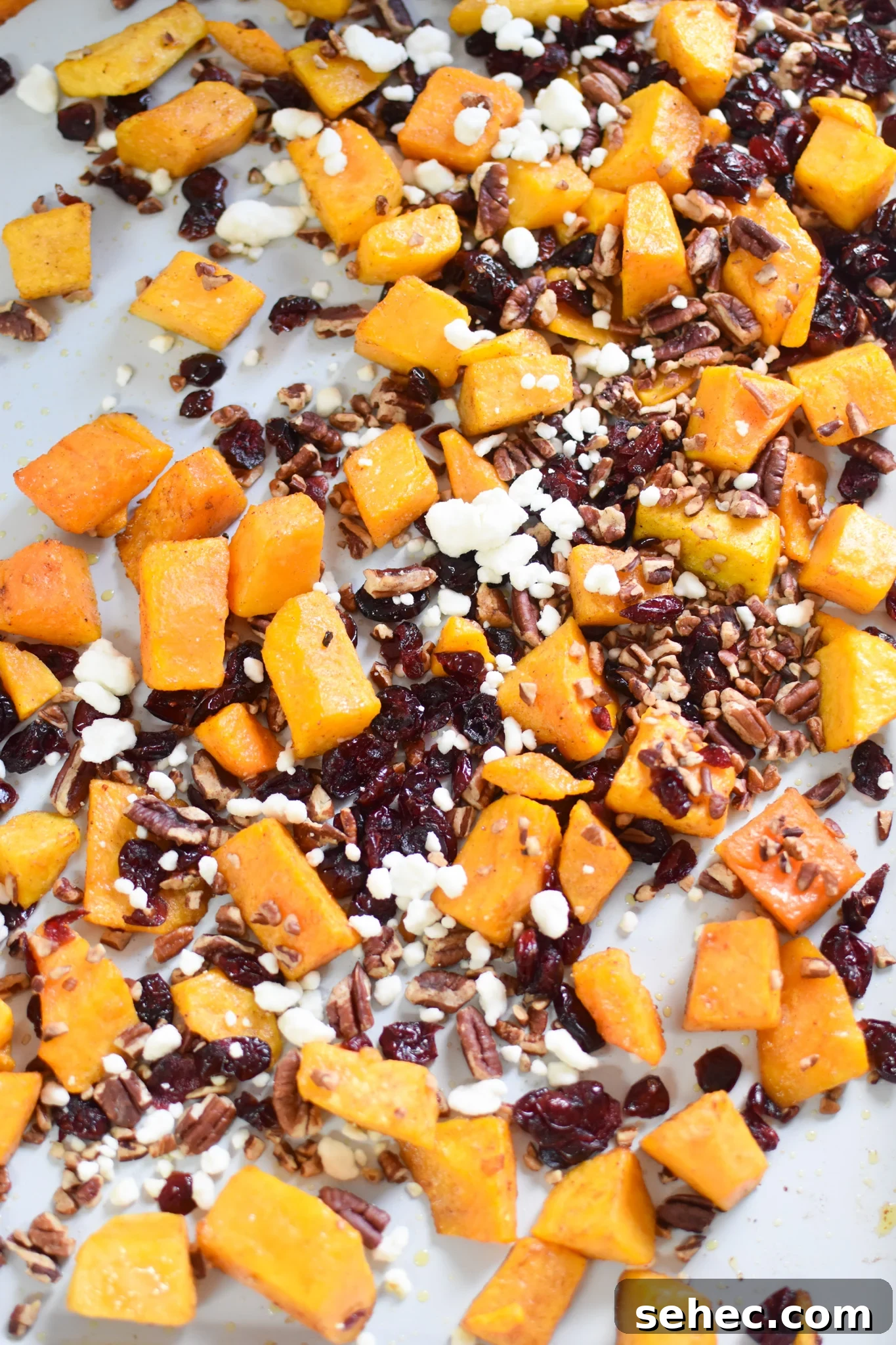 Roasted Butternut Squash with Cranberries Side Dish 8 Roasted Butternut Squash with Cranberries on baking tray