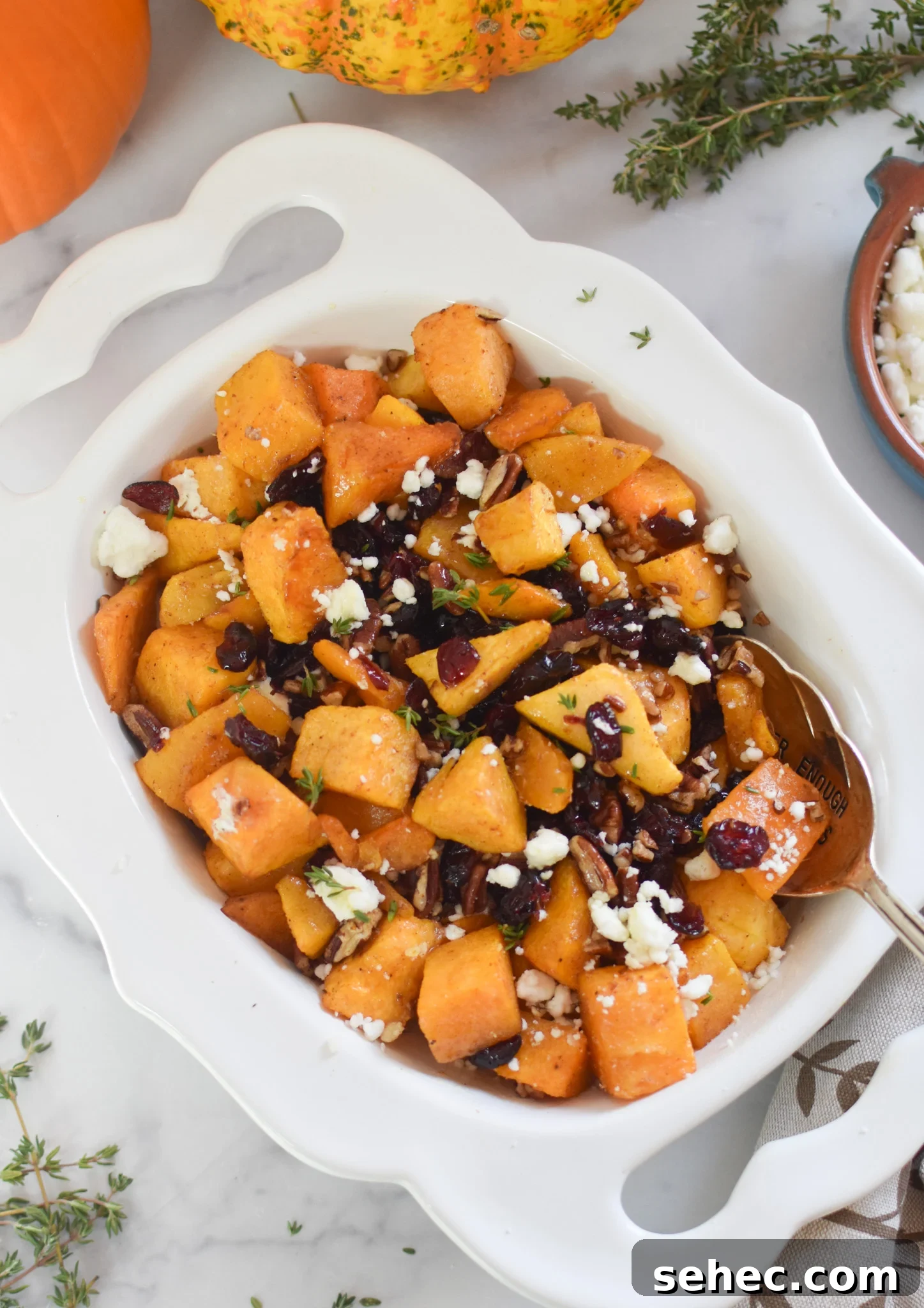 Roasted Butternut Squash with Cranberries Side Dish 10 Roasted Butternut Squash with Cranberries in white bowl