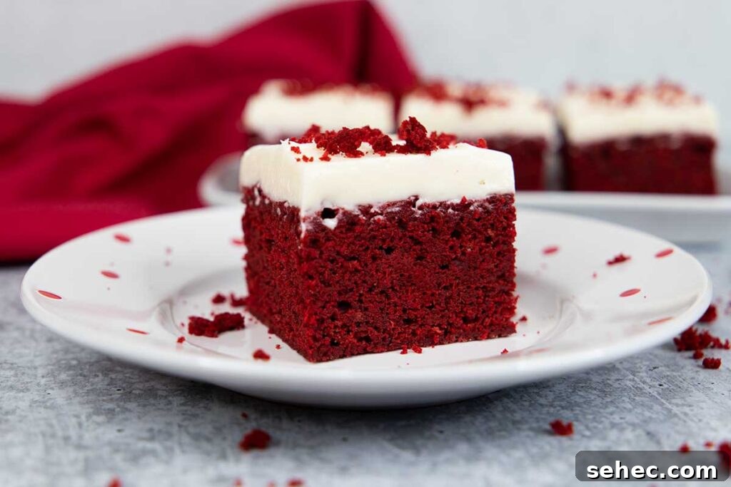 Red velvet brownie on a white plate with red dots.