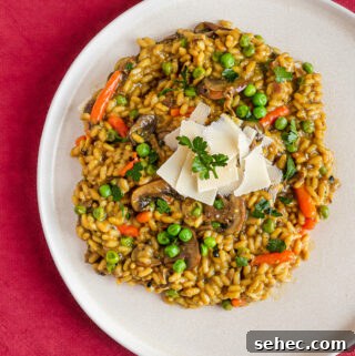 Creamy Vegan Mushroom Risotto Recipe 2 A plate with mushroom risotto