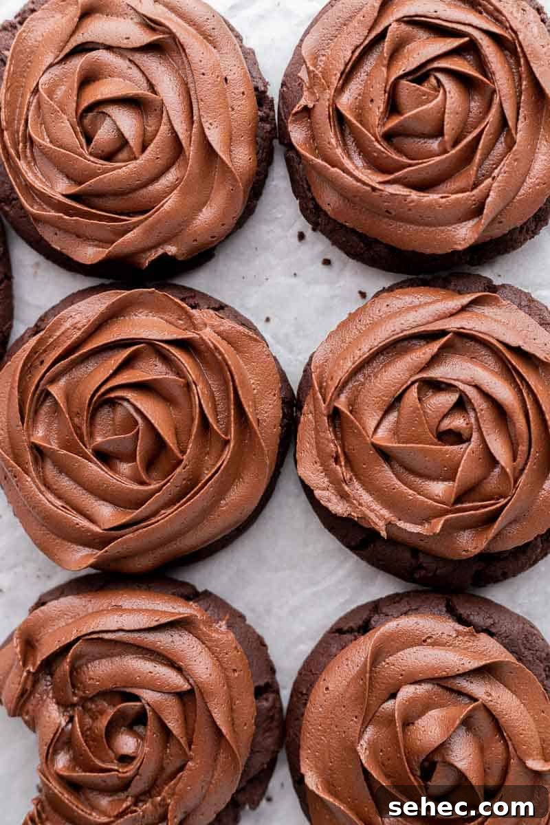 40 Crumbl Cookie Copycat Recipes to Try in 2025 11 CRUMBL chocolate cake cookies