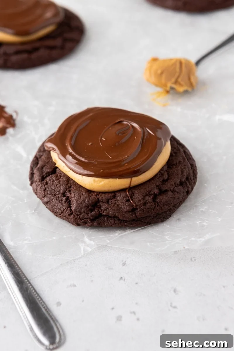 40 Crumbl Cookie Copycat Recipes to Try in 2025 13 Crumbl Buckeye Brownie Cookies