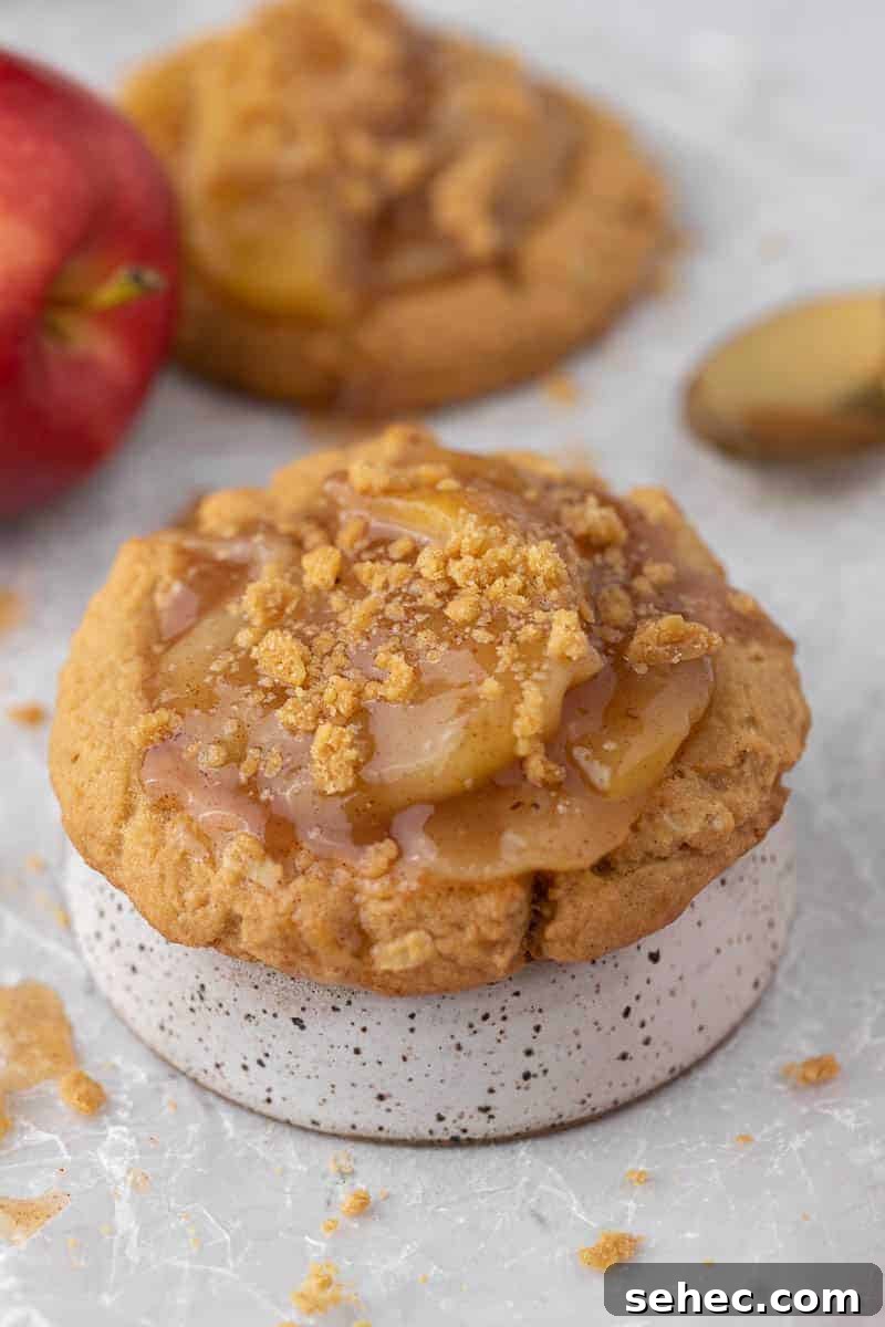 40 Crumbl Cookie Copycat Recipes to Try in 2025 24 Crumbl apple pie cookies