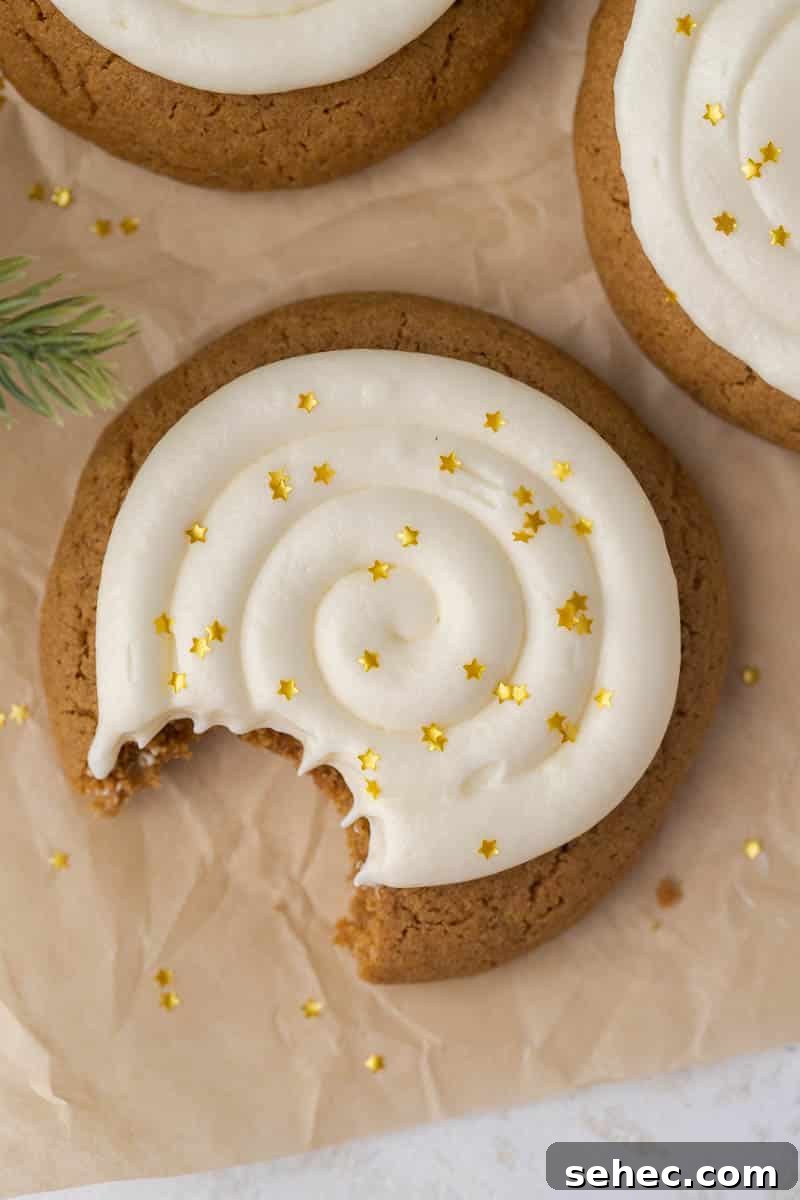 40 Crumbl Cookie Copycat Recipes to Try in 2025 26 Overhead shot of the best Crumbl gingerbread cookies
