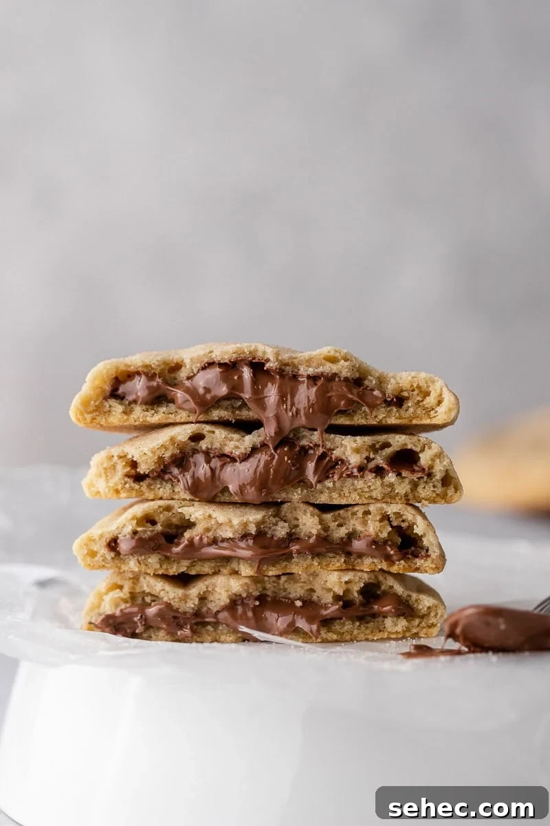 40 Crumbl Cookie Copycat Recipes to Try in 2025 38 Crumbl Hazelnut Churro Cookies