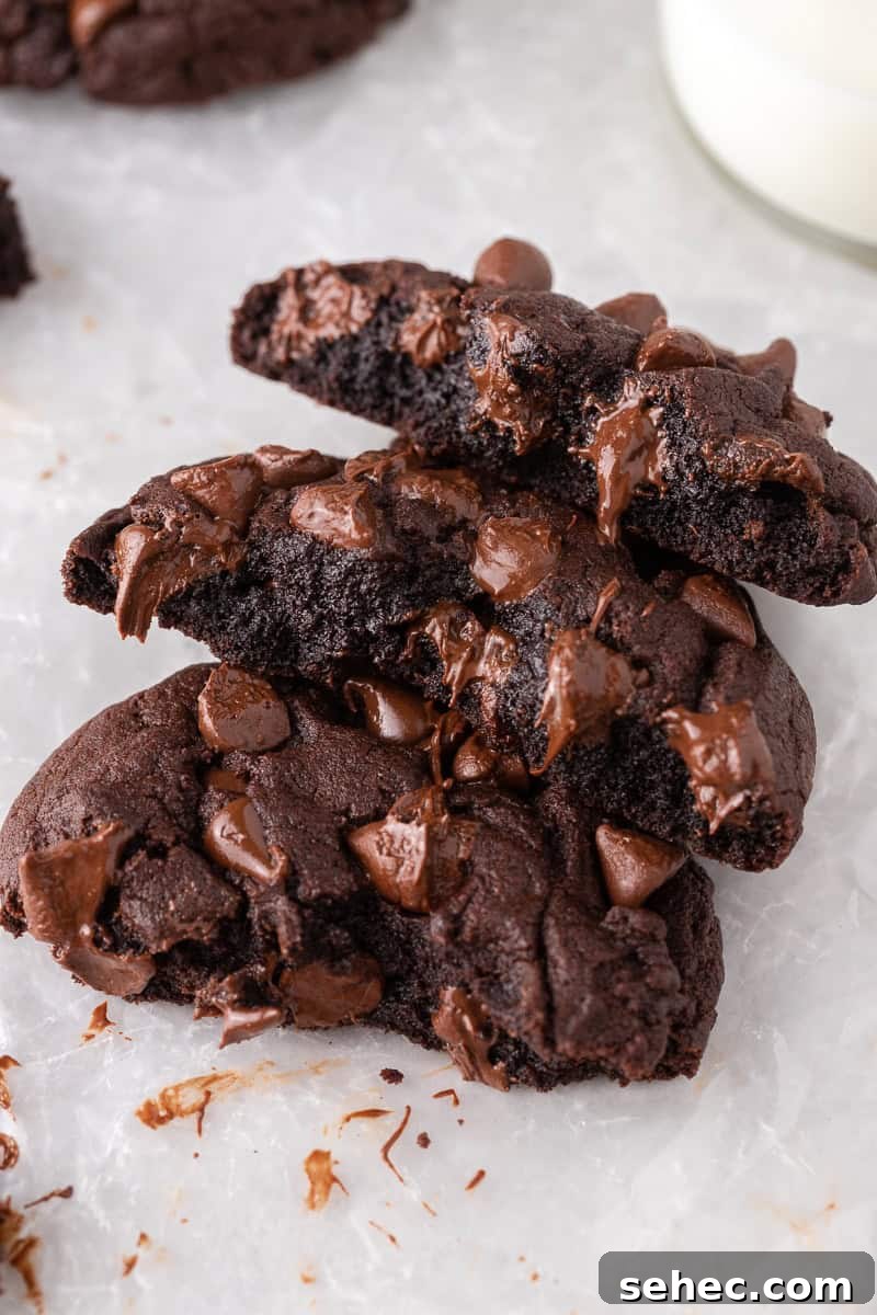 40 Crumbl Cookie Copycat Recipes to Try in 2025 10 Broken double chocolate cookies with gooey melted chocolate centers.