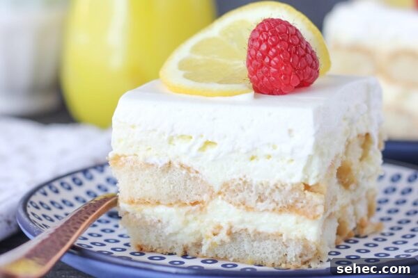 9 No Bake Summer Desserts to Keep You Cool 3 Lemon shortcake icebox cake