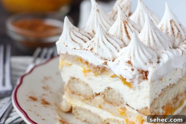 9 No Bake Summer Desserts to Keep You Cool 6 Peach icebox cake