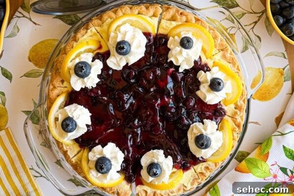9 No Bake Summer Desserts to Keep You Cool 7 Lemon blueberry cheesecake pie