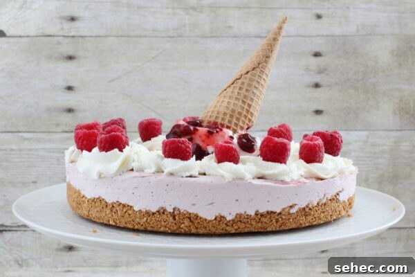 9 No Bake Summer Desserts to Keep You Cool 8 Raspberry ice cream pie