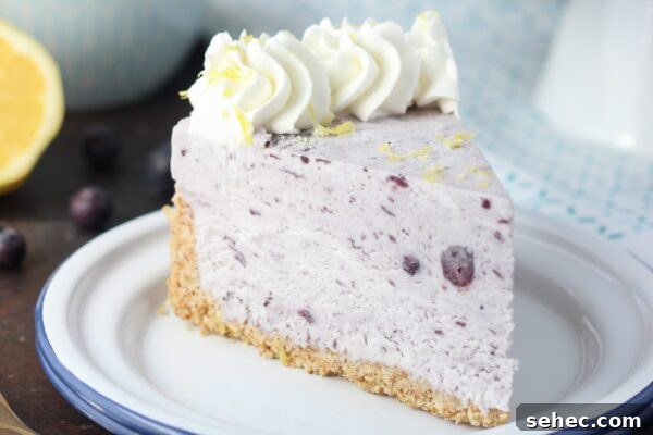 9 No Bake Summer Desserts to Keep You Cool 10 Blueberry ice cream pie