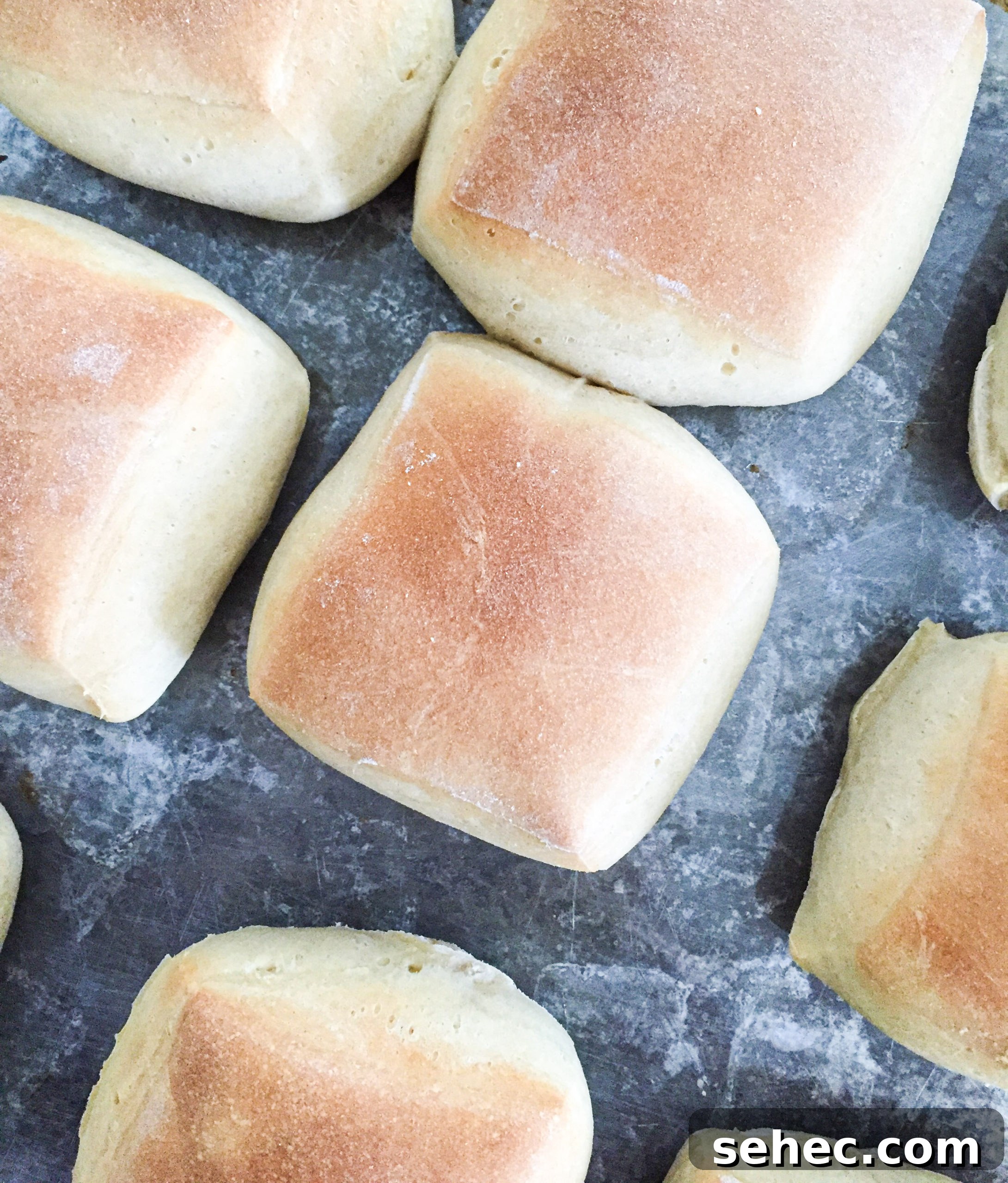 Texas Roadhouse rolls 15 edited Baked Texas Roadhouse Rolls