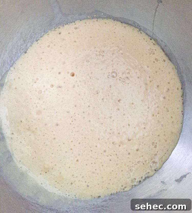 Texas-Roadhouse-rolls-2-edited Yeast mixture for Texas Roadhouse Rolls
