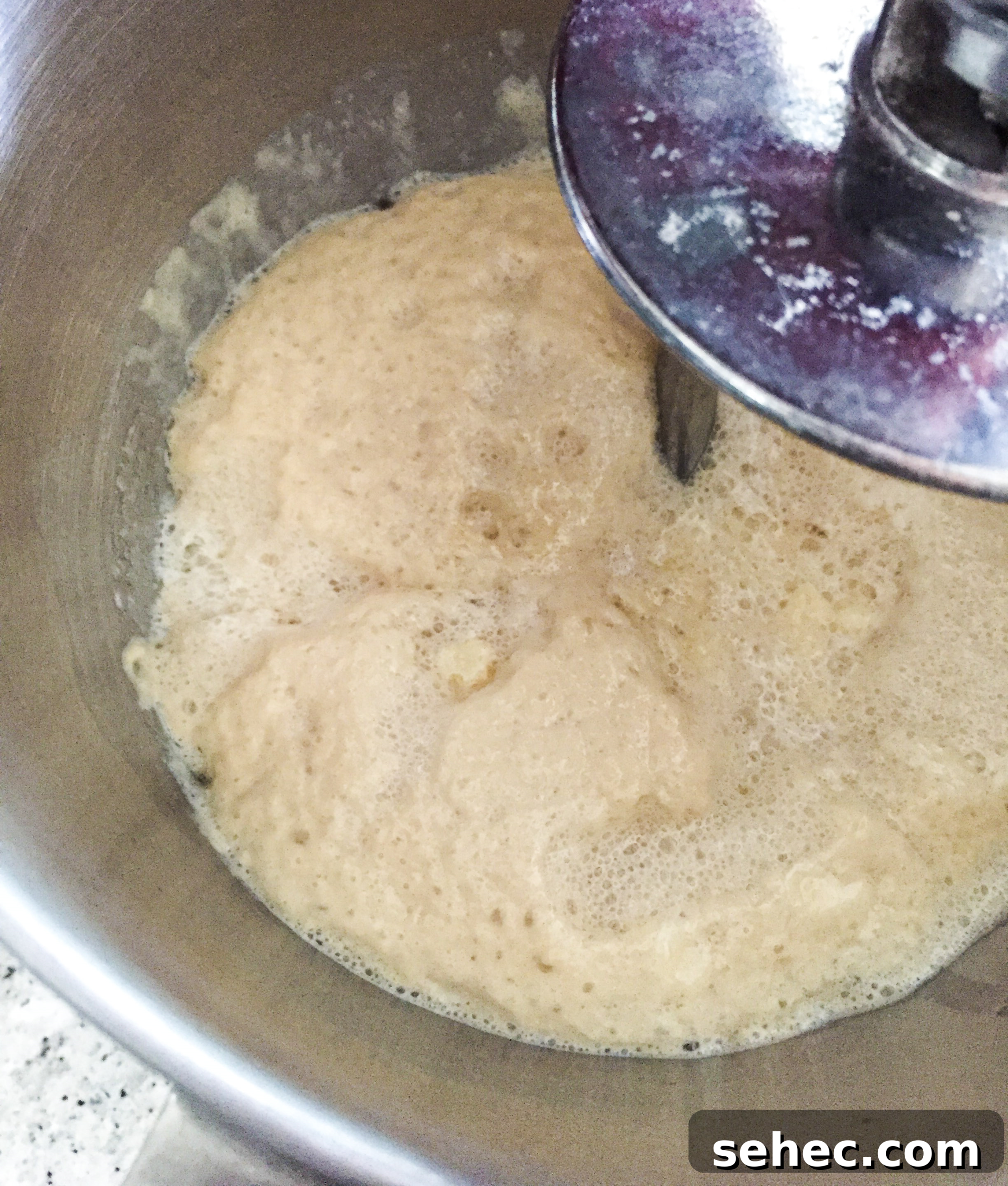 image Dough for copycat Texas Roadhouse Rolls