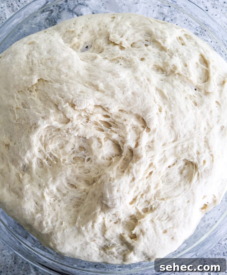 Texas Roadhouse rolls 14 edited Risen dough for Texas Roadhouse Rolls