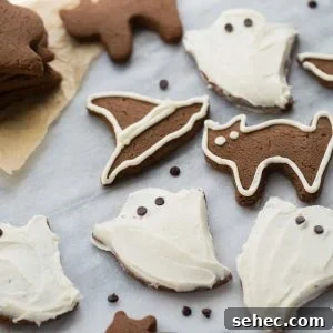 Chocolate almond flour sugar cookies