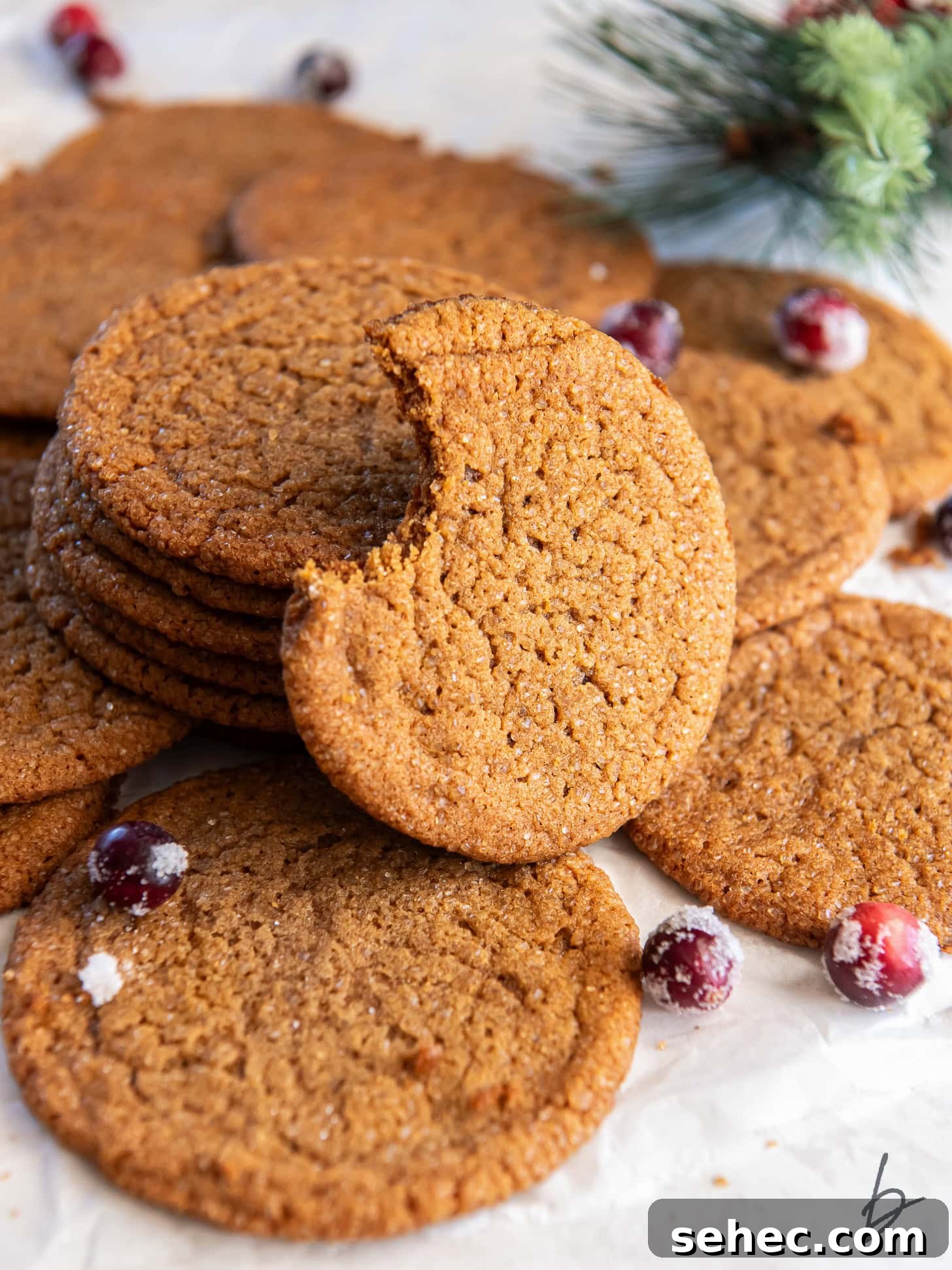 Thin and Crispy Gingersnap Cookies 2 thin gingersnap cookie with bite taken out of it leaning on stack of more cookies.