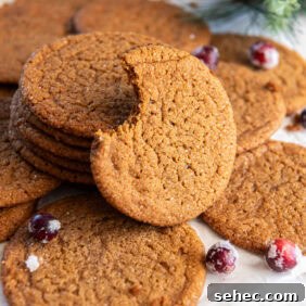Thin and Crispy Gingersnap Cookies 7 thin gingersnap cookie with bite taken out of it leaning on stack of more cookies.