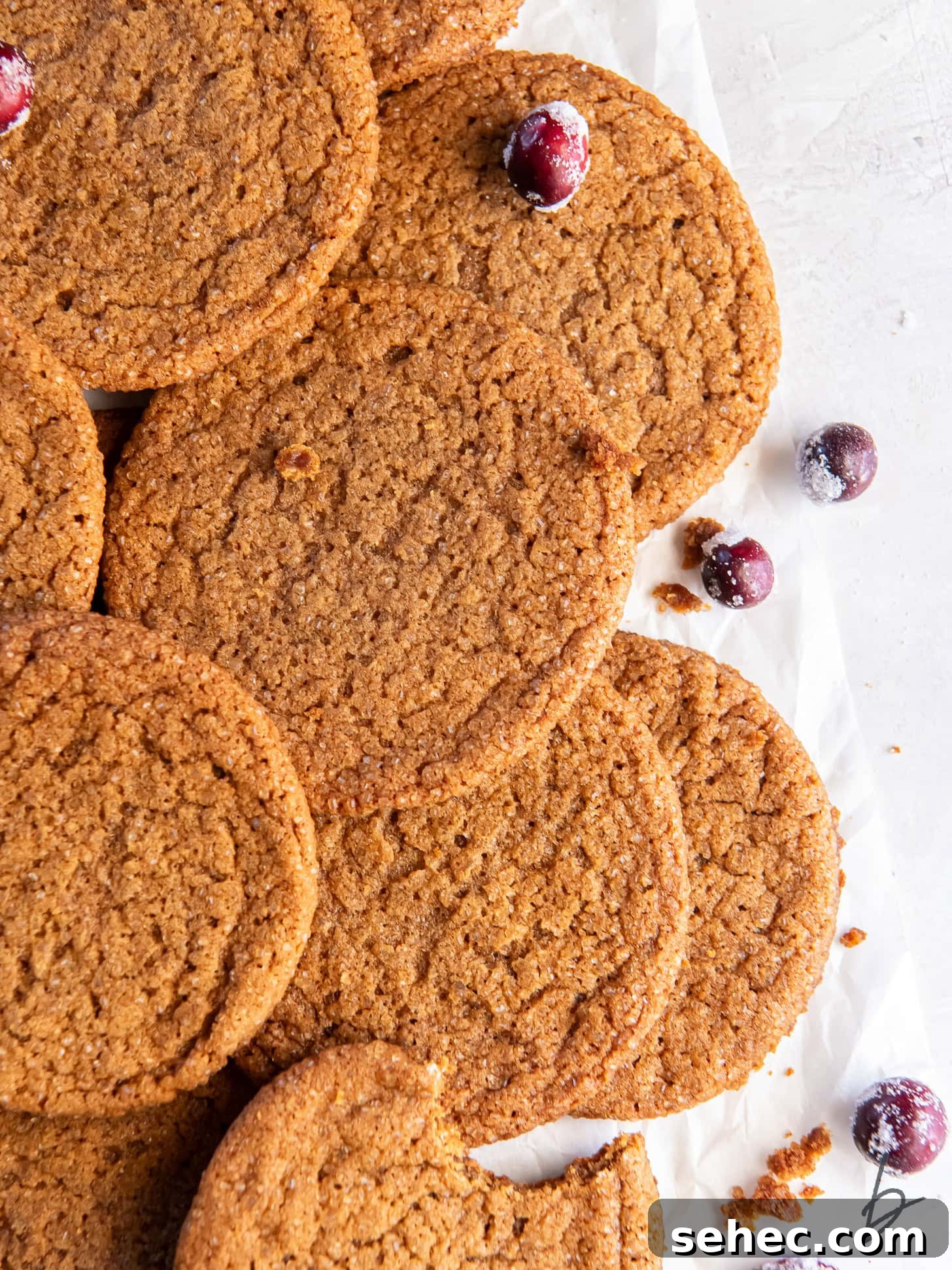 Thin and Crispy Gingersnap Cookies 6 thin and crispy gingersnaps in a pile with a couple of sugared cranberries for garnish.