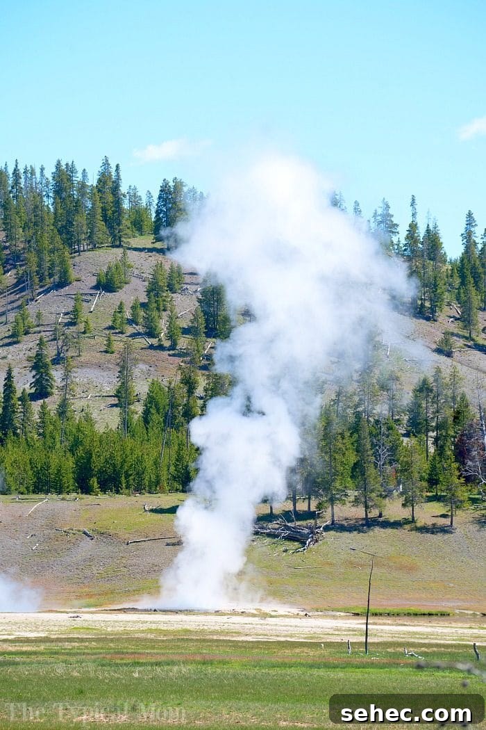 How to Decide If Homeschooling Middle School Is Right for You 6 yellowstone geysers