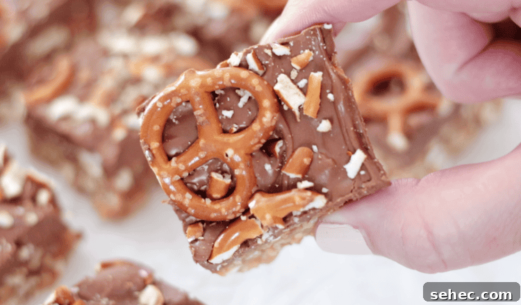 Pretzel Scotcheroos Recipe with Video 3 hand holding a pretzel scotcheroo
