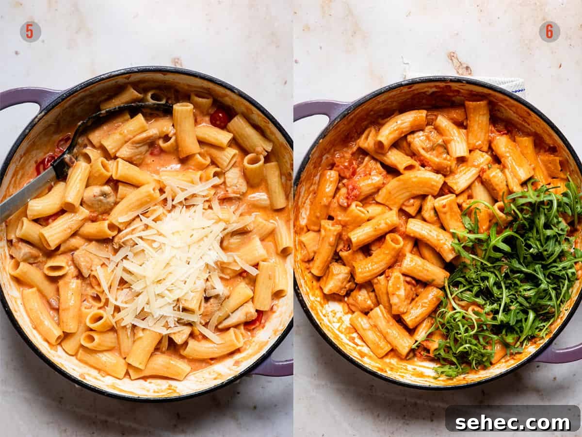 30 Minute Chicken Tomato Pasta Recipe 6 Finished creamy chicken tomato pasta with basil