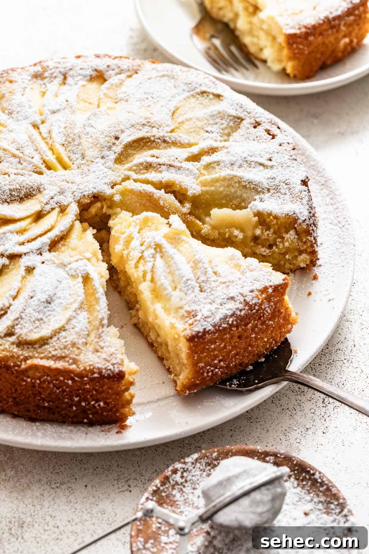 Moist French Apple Cake Without Rum 11 A simple butter cake with apples layered in a pattern on top with a slice cut out.