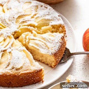 Moist French Apple Cake Without Rum 12 A fresh apple cake dusted with powdered sugar on a white serving platter.