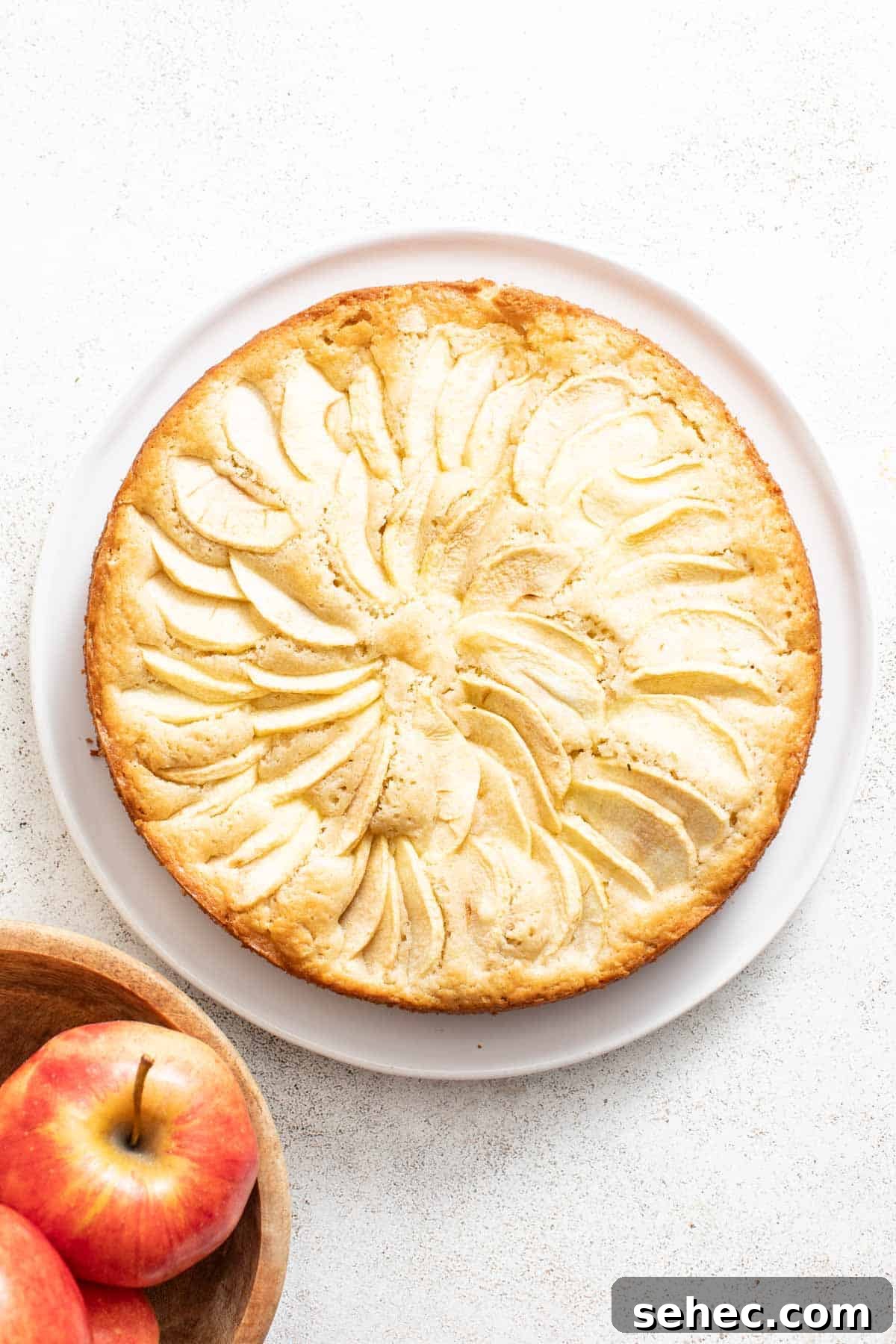 Moist French Apple Cake Without Rum 8 A layered apple cake after baking on a white dish.