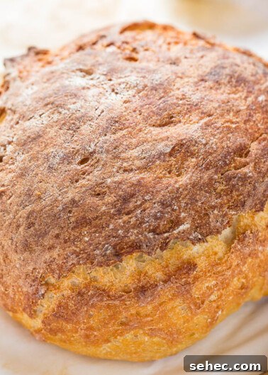 Chicken Asparagus Pasta with Tomatoes 8 A freshly baked round loaf of bread with a golden-brown crust.