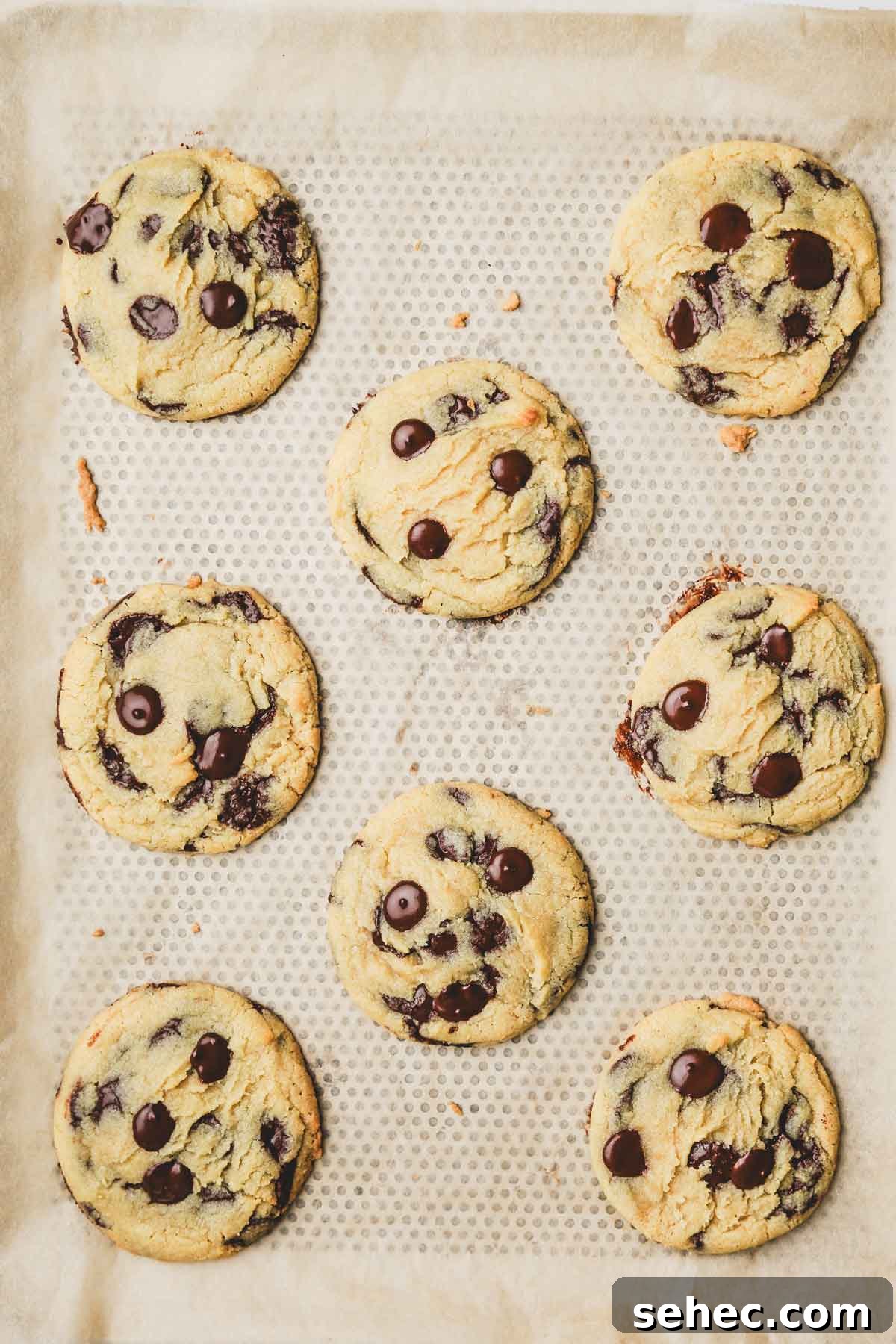 Chocolate Chip Cookies Made with Egg Yolks 9 baked cookies on a baking sheet