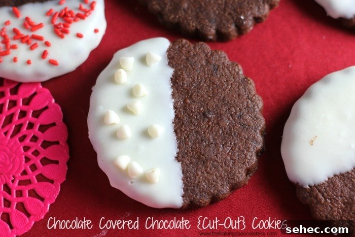 Chocolate Cut-Out Cookies for Decorating 2 easy cut out chocolate cookies