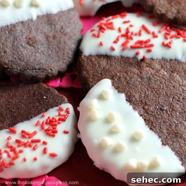 Chocolate Cut-Out Cookies for Decorating 4 Chocolate Covered Chocolate {Cut-Out} Cookies