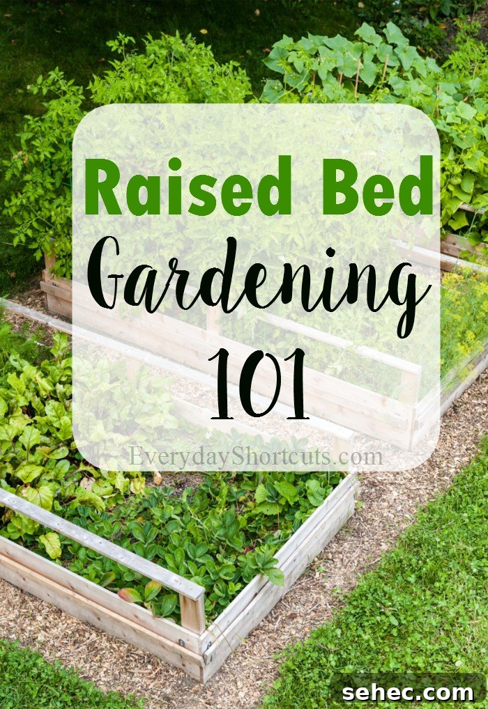 Raised Bed Gardening for Beginners Plan Plant and Grow 2 raised bed gardening 101