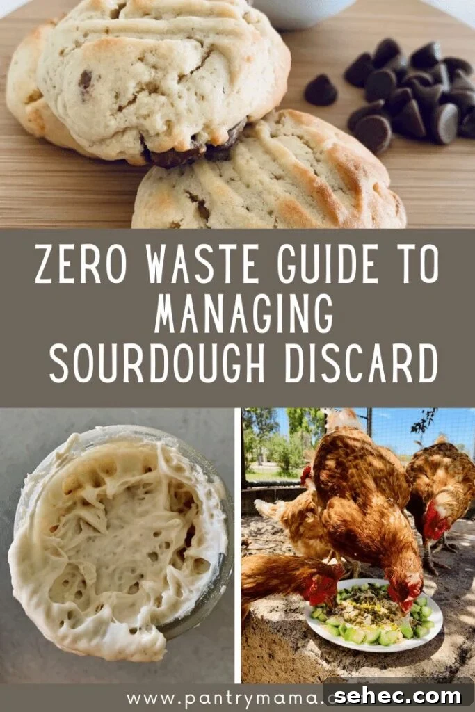 21 Zero Waste Ways to Use Sourdough Discard 2 img 680 1