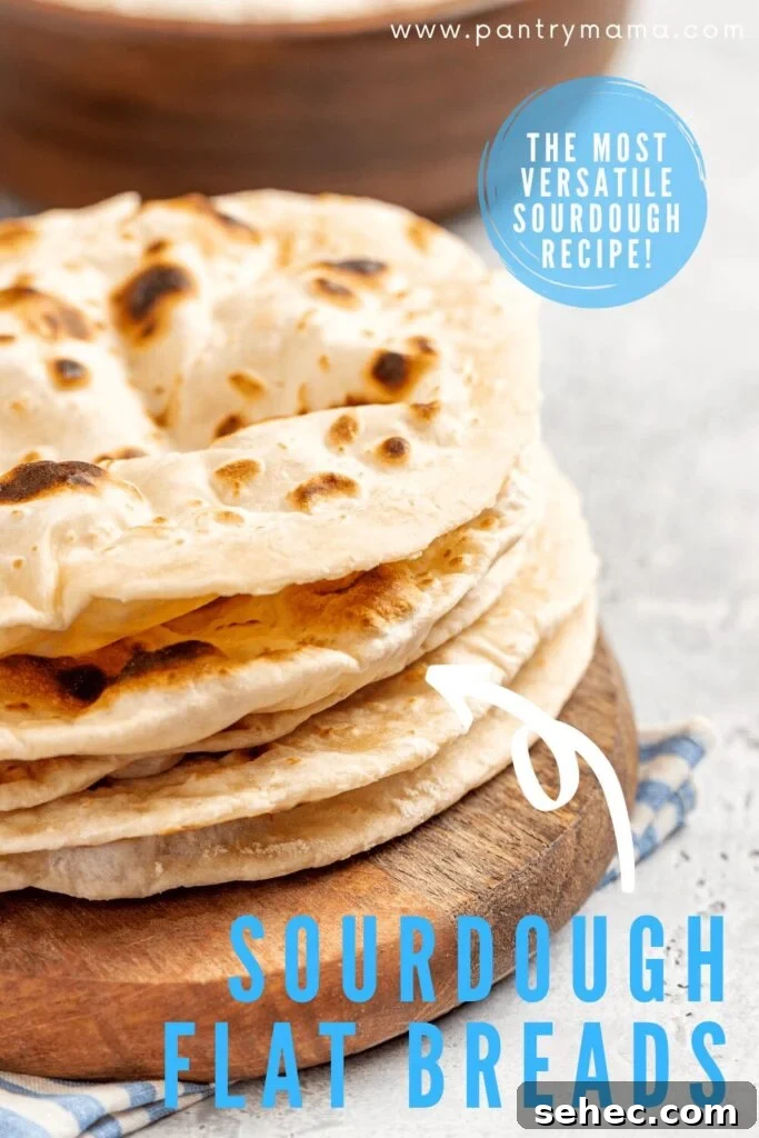 21 Zero Waste Ways to Use Sourdough Discard 6 Sourdough Flat Bread Recipe
