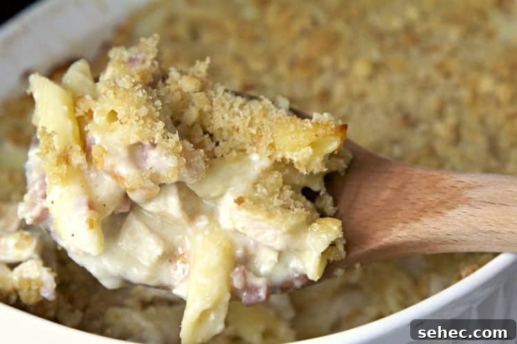 Chicken Cordon Bleu Pasta Bake Recipe 5 Chicken Cordon Bleu Pasta Casserole Recipe - easy baked pasta dish with chicken, ham, pasta, and cheese sauce