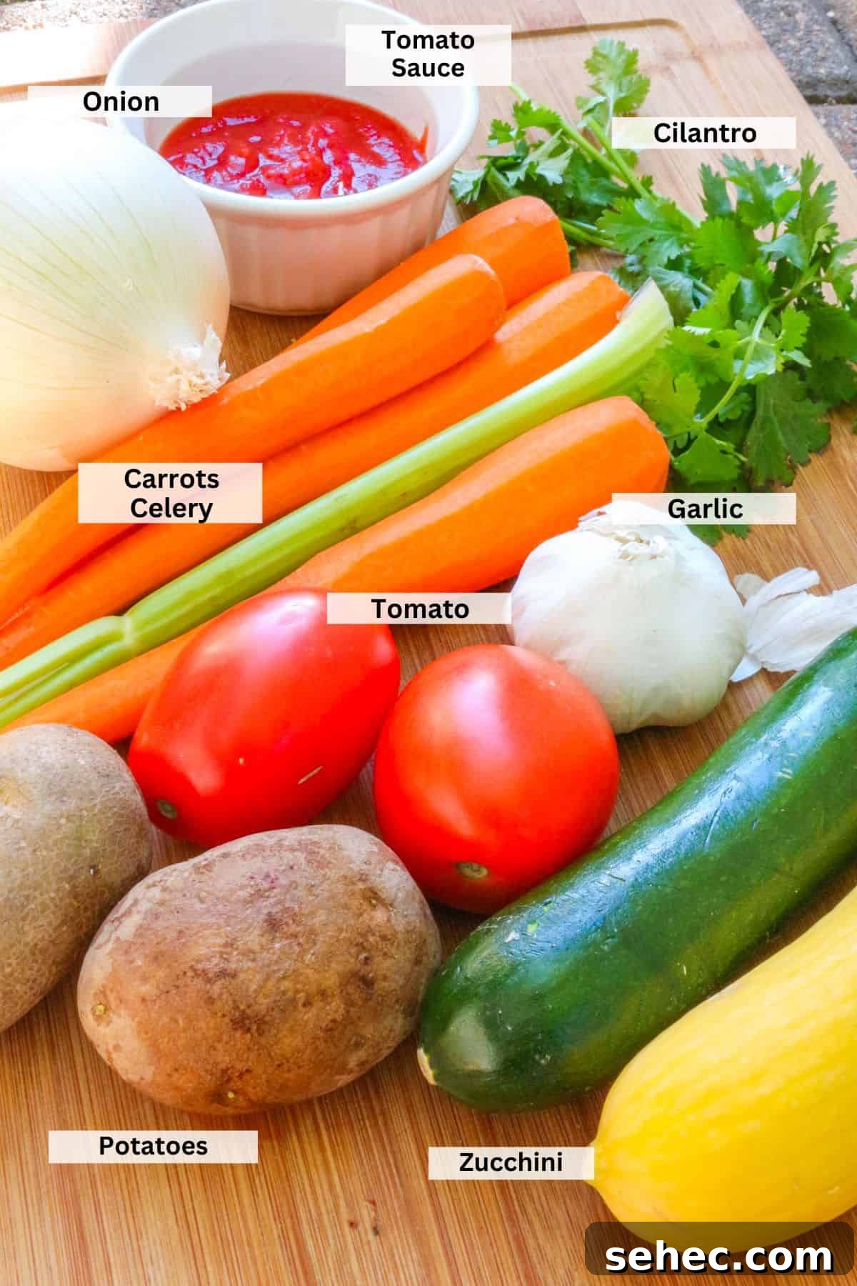 Mexican Vegetable Soup Recipe Sopa de Verduras 3 Ingredients for sopa de verduras: tomato sauce, onion, cilantro, carrots, celery, tomatoes, garlic, potatoes, zucchini