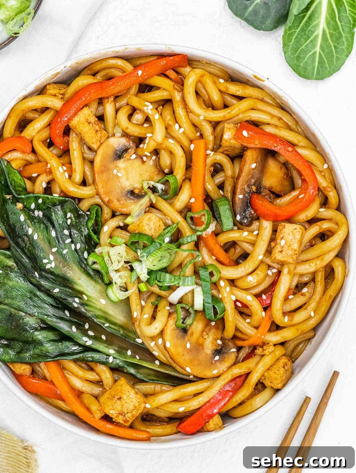 Yaki Udon Stir Fried Noodles 2 Yaki Udon with ginger and scallions