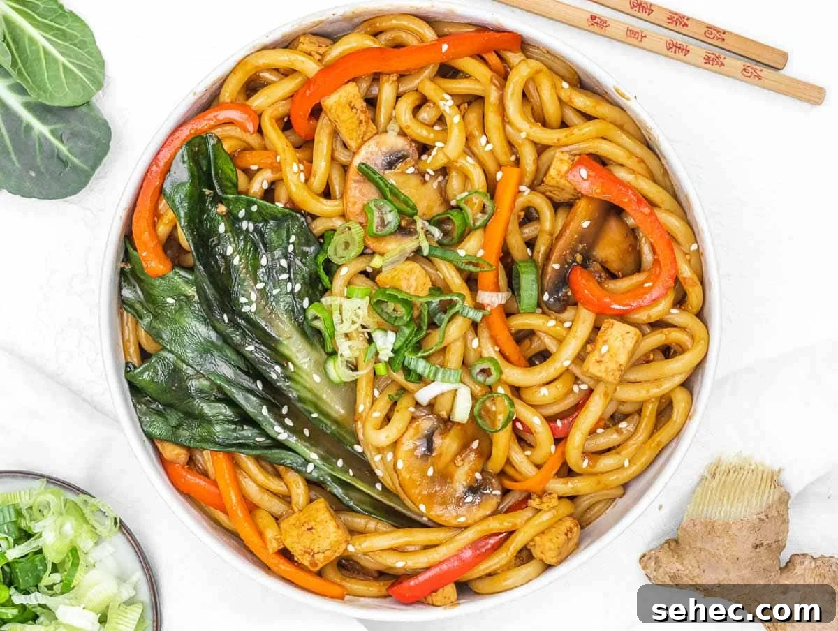 Yaki Udon Stir Fried Noodles 13 Yaki Udon with scallions