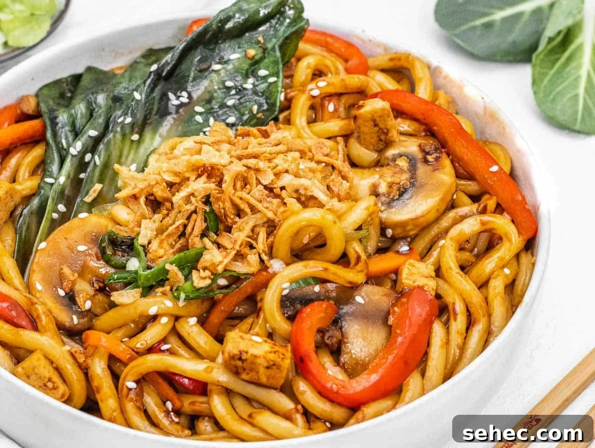 Yaki Udon Stir Fried Noodles 16 Yaki Udon with fried onions