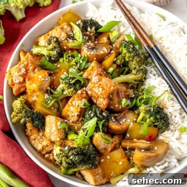 Yaki Udon Stir Fried Noodles 17 Tofu stir fry in a bowl with rice.