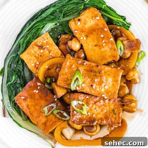 Yaki Udon Stir Fried Noodles 18 braised tofu with bok choy on a plate.
