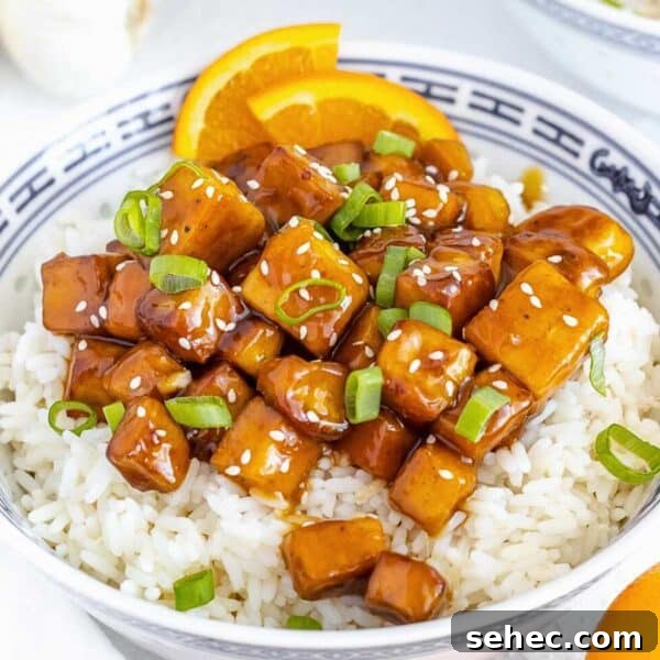 Yaki Udon Stir Fried Noodles 23 Orange tofu with basmati rice.