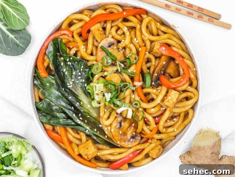 Yaki Udon Stir Fried Noodles 32 Yaki Udon with scallions