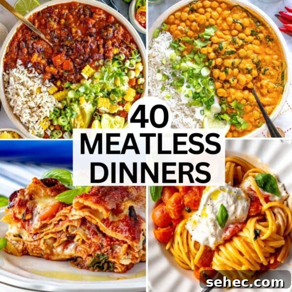 Yaki Udon Stir Fried Noodles 33 Meatless dinner recipes.