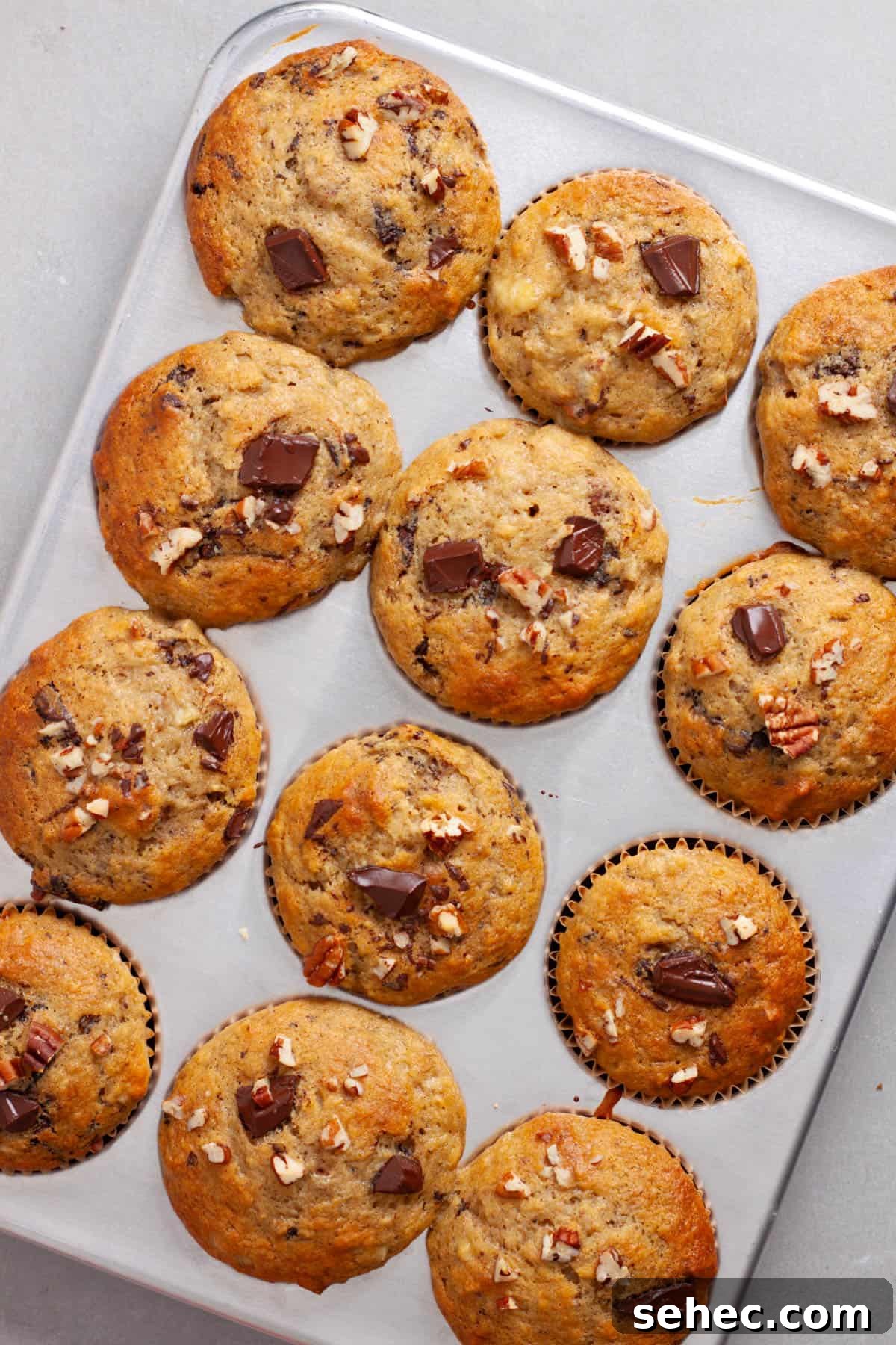 Moist Banana Chocolate Chunk Muffins 11 Freshly baked banana chocolate chip muffins in a metal muffin tin on a gray table.