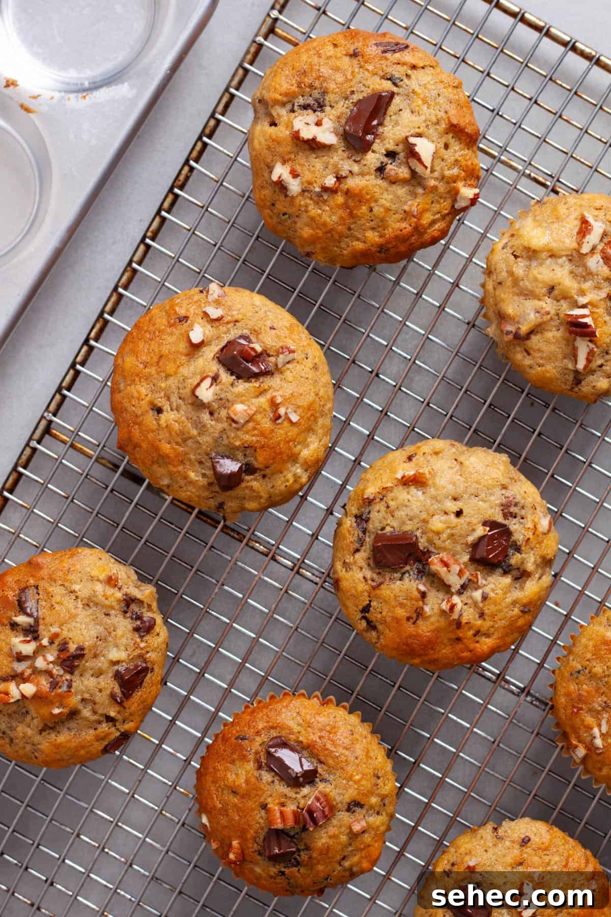 Moist Banana Chocolate Chunk Muffins 12 Banana chocolate muffins cooling on a wire rack.