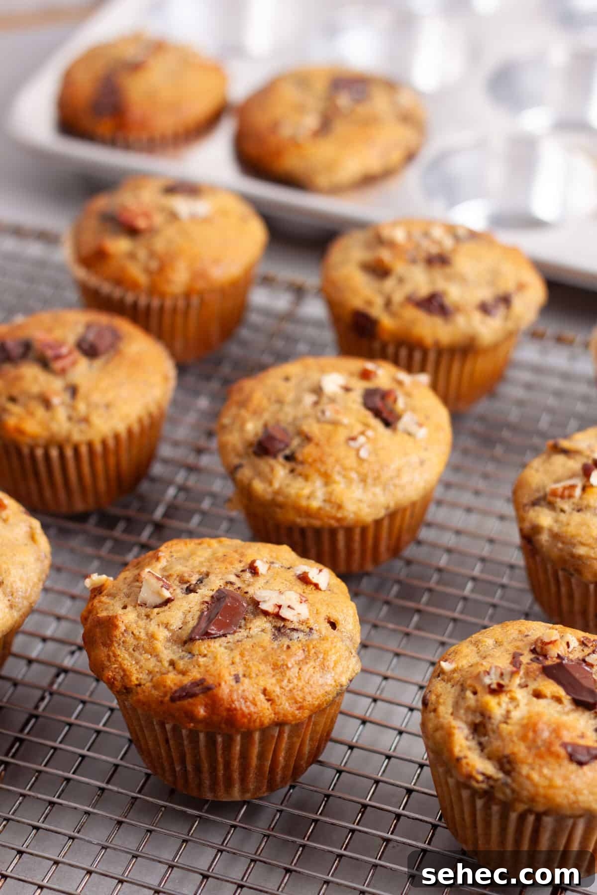 Moist Banana Chocolate Chunk Muffins 13 Chocolate chip banana muffins cooling on a wire rack on a gray table.
