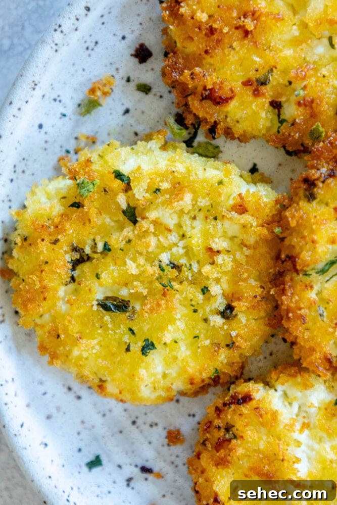 Crispy Baked Goat Cheese Balls Recipe 2 golden baked breaded goat cheese balls topped with herbs on a white speckled plate